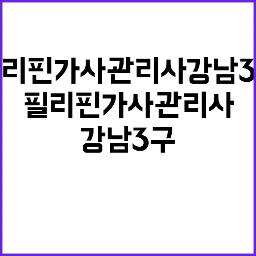 필리핀 가사관리사 강남 3구 33% 배치!