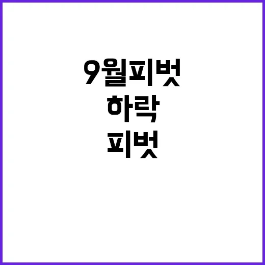 물가 하락 9월 피벗 기대감 상승!