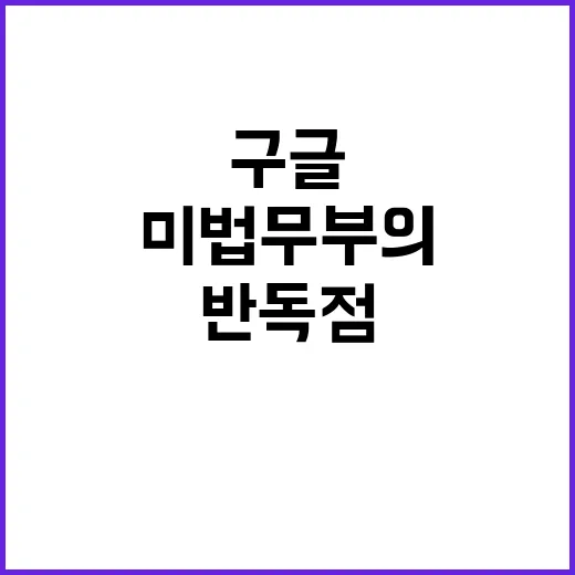 구글 쪼개기 미 법…