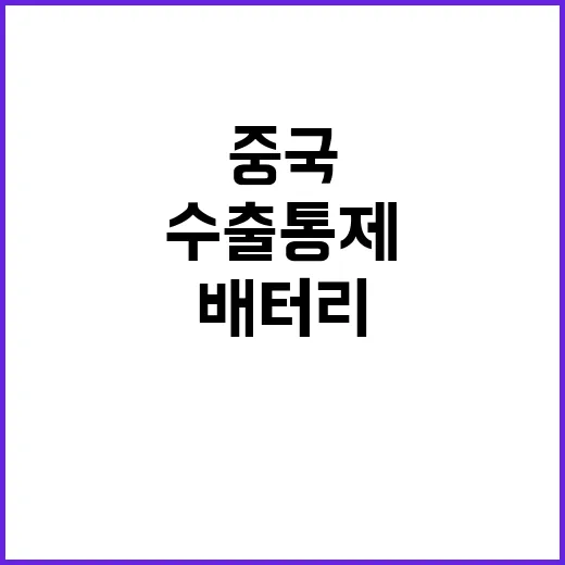 안티몬 중국 배터리…