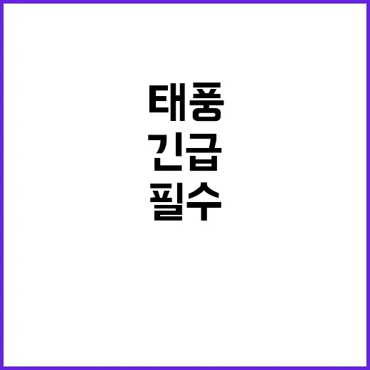 태풍 매우 강함 긴급 경고 발표! 대비 필수!