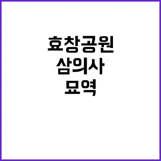 효창공원 묘역 삼의…