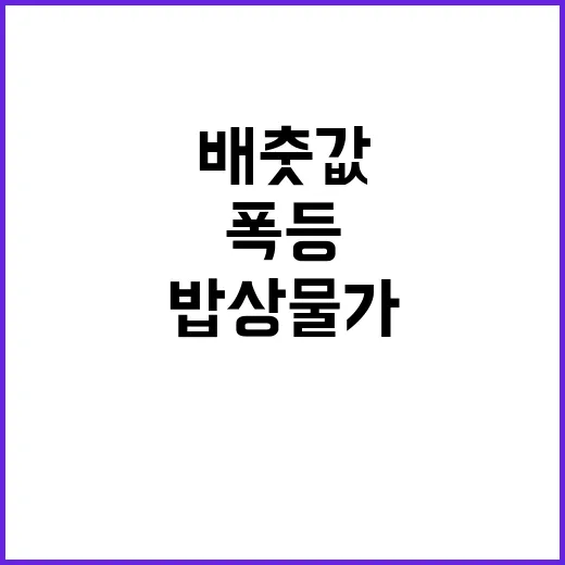 배춧값 급등…추석 …