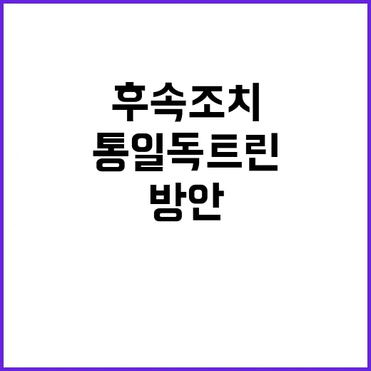 통일 독트린 현실적…