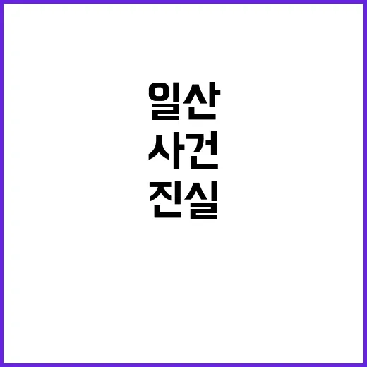 일산 킥라니 무면허…