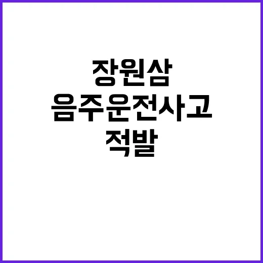 장원삼 부산 대낮 …