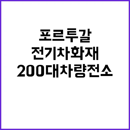 전기차 화재 포르투갈서 200대 차량 전소 사건!