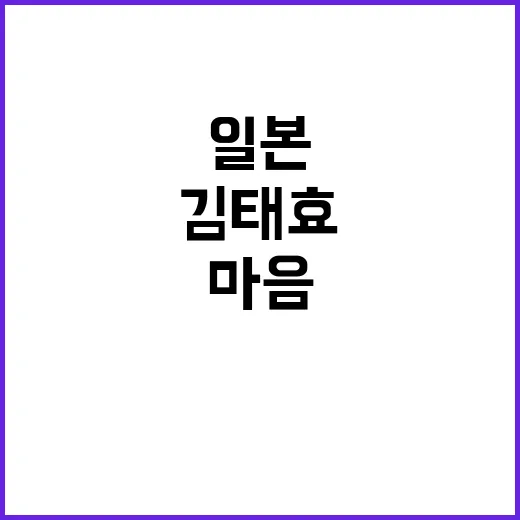 일본 마음 김태효 …