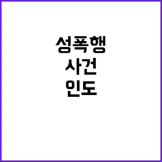 인도 성폭행 사건 …