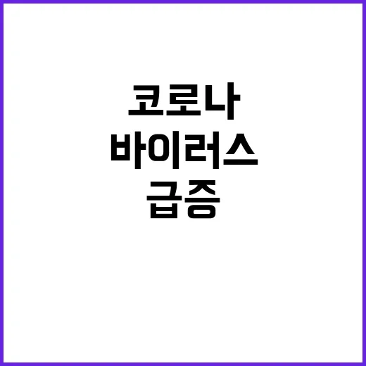 바이러스 농도 급증…