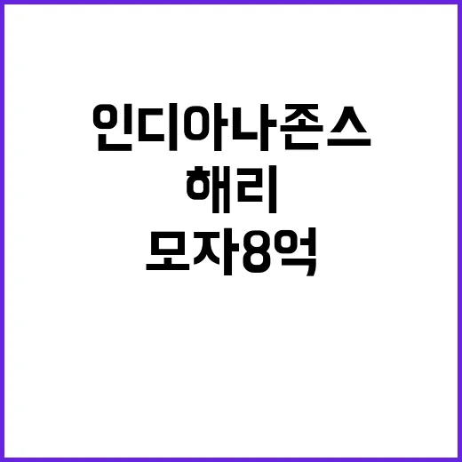 모자 8억의 인디아…