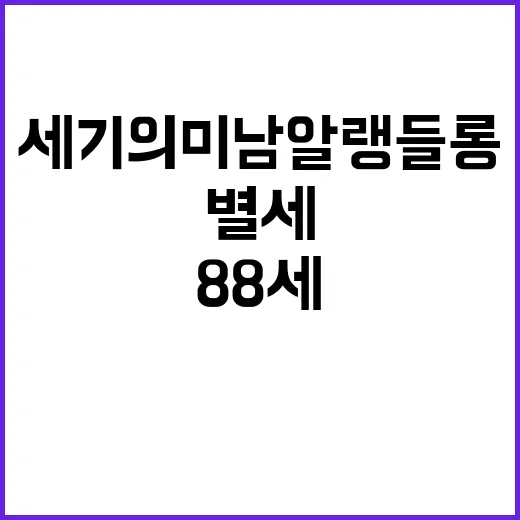 세기의 미남 알랭 들롱 88세로 별세하다!