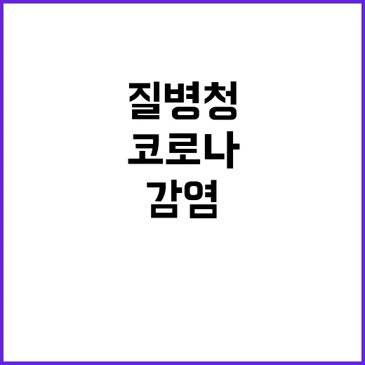 코로나 확산 비상 질병청 예측 35만명 감염!