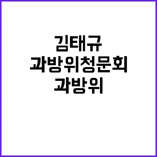 과방위 청문회 김태…