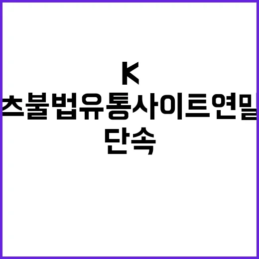 K콘텐츠 불법유통 사이트 연말까지 강력 단속 예고!