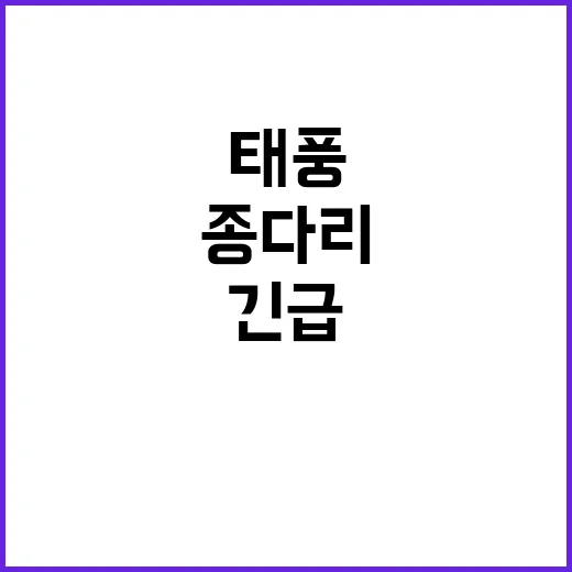 태풍 종다리 한총리…