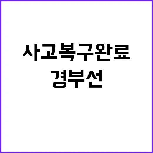 정봉주 탈락 김근식…