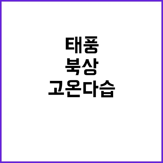 태풍 북상 고온다습…