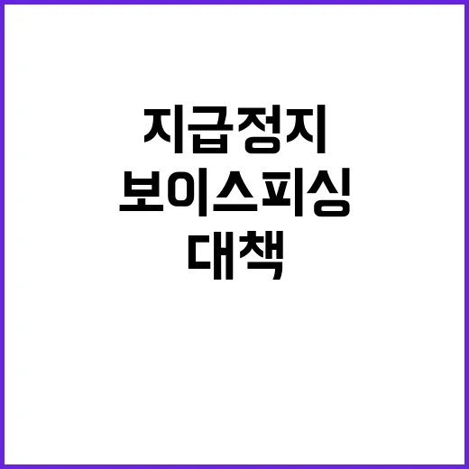 보이스피싱 간편송금 신속 지급정지 대책 발표!