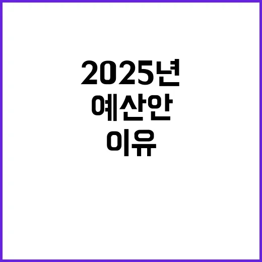 “예산안 2025년…