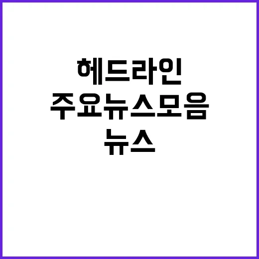 헤드라인 지금 확인…