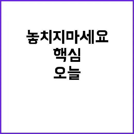 뉴스현장 오늘의 핵심 이야기 놓치지 마세요!