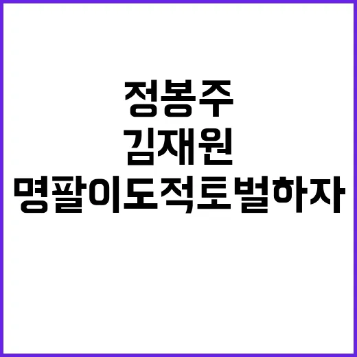 정봉주 명팔이 도적…