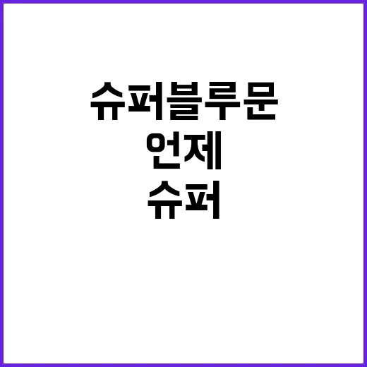 슈퍼 블루문 203…