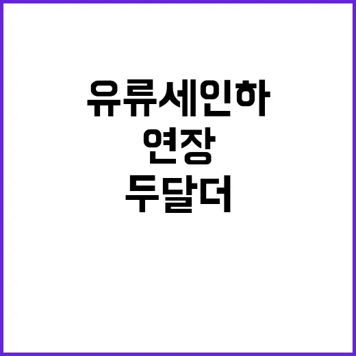 유류세 인하 두 달 더 연장 결정!