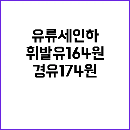 유류세 인하 휘발유 164원 경유 174원 ↓ 유지!