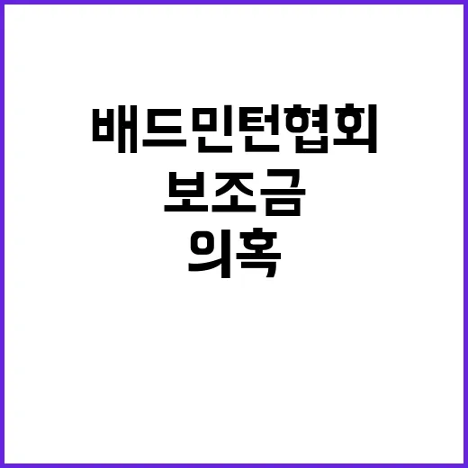 배드민턴 협회 보조…