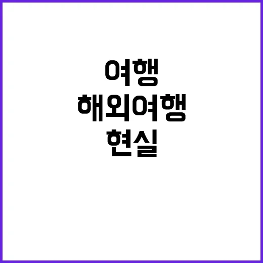 LCC 해외여행 호황 속 불안한 현실 공개!