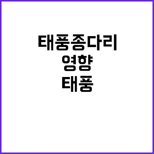 태풍 종다리 영향 …