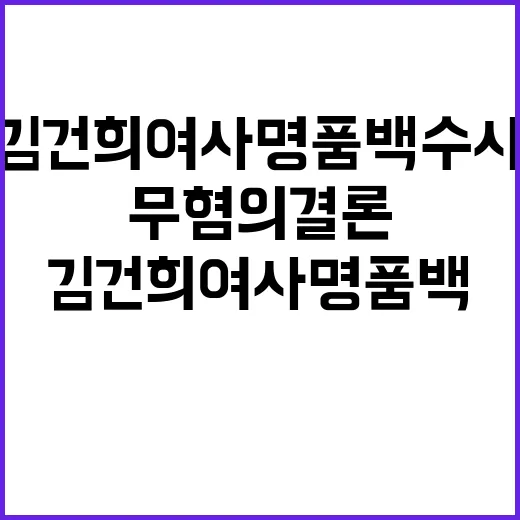 김건희 여사 명품백 수사 무혐의 결론 도출!