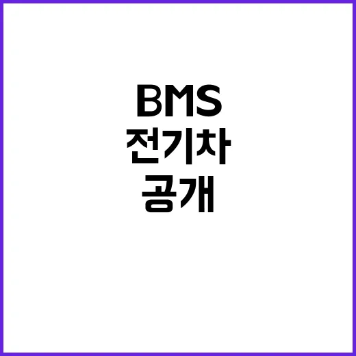 BMS 문자 전기차 고객 불안감 해소 방법 공개!