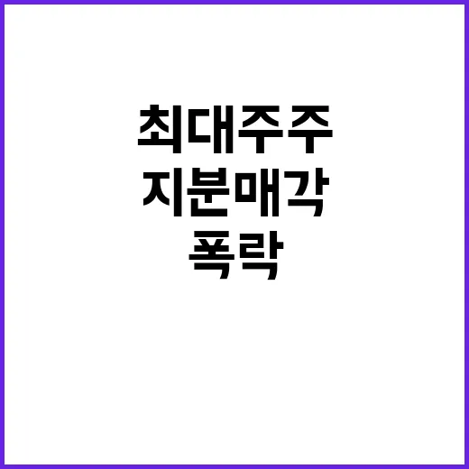 최대주주 월마트 징동닷컴 지분 매각으로 폭락!