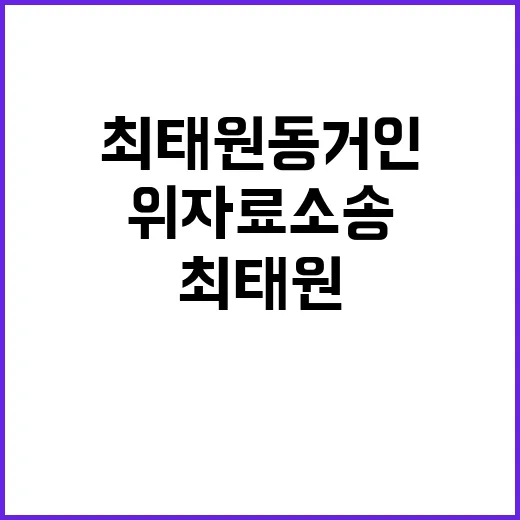 최태원 동거인 위자…