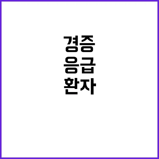 응급의료 대책 경증…