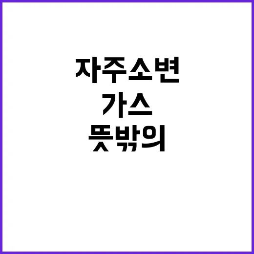 암 자주 소변과 가…