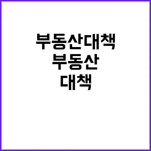 부동산 대책 가격 상승 제약 가능성 공개!