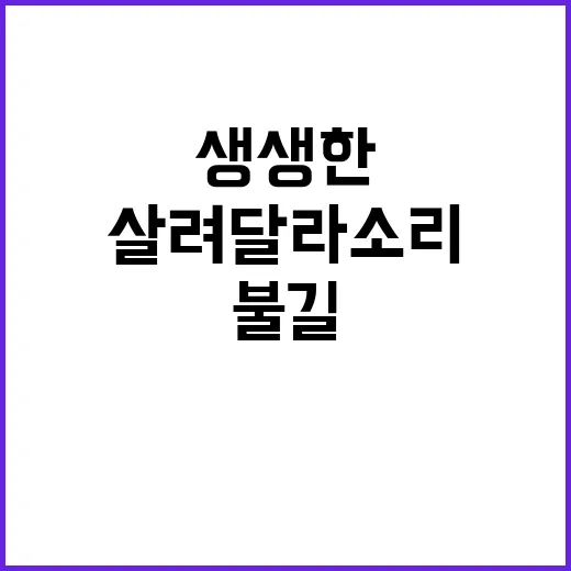 불길 생생한 영상 속 살려 달라 소리! 클릭 필수!