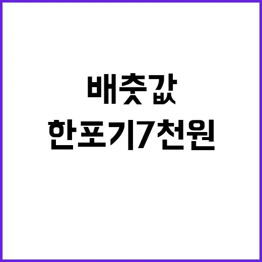 배춧값 치솟다…한 포기 7천 원 넘었다!