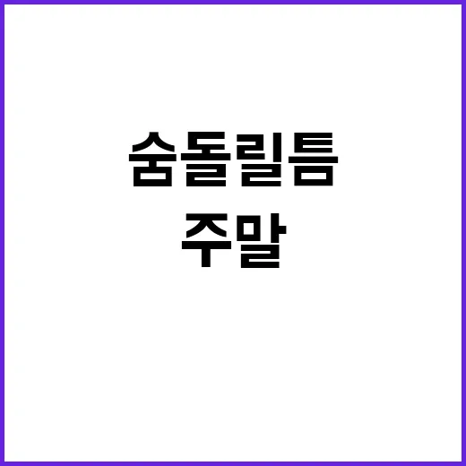 더위 주말 이후 숨…