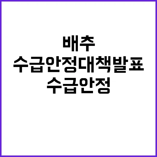 배추 정부의 시설채…