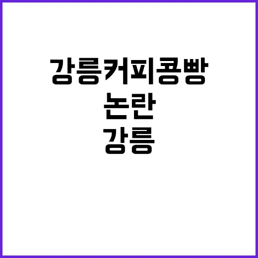 강릉커피콩빵 논란 …