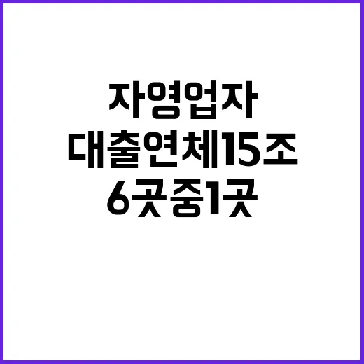 대출 연체 15조 자영업자 6곳 중 1곳 폐업!