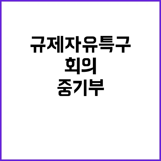 규제자유특구 중기부…