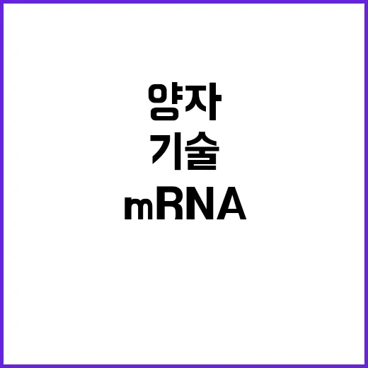 mRNA 백신 양자…