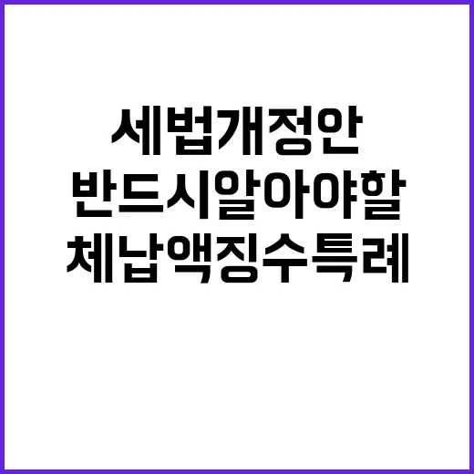 세법개정안 체납액 징수특례 반드시 알아야 할 이유!