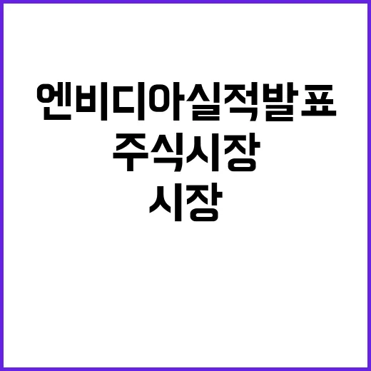 엔비디아 실적 발표…